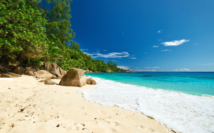 Saint Kitts